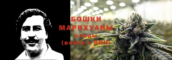 тгк Михайлов