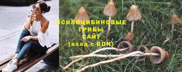 a pvp Михайловск