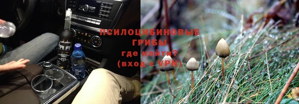 стаф Долгопрудный