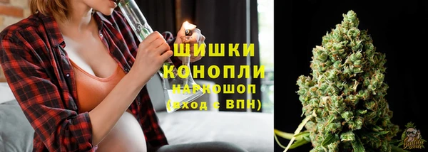тгк Михайлов